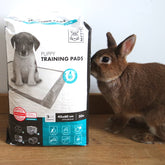 Tapis absorbant lapin - alaise